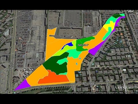 Vidéo: Quel est le nom scientifique du caryer moqueur ?