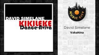 David Simelane - Vakahina |  Audio