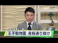 神戸市立王子動物園桜の通り抜け始まる/兵庫県 の動画、YouTube動画。