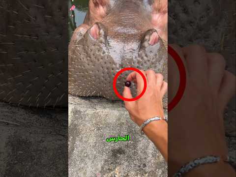 يمازحهم بطريقة تغيظهم