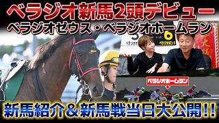 'Two New Bellagio Horses Debut' The Highly Anticipated New Horses 'Bellagio Zeus' and 'Bellagio H...