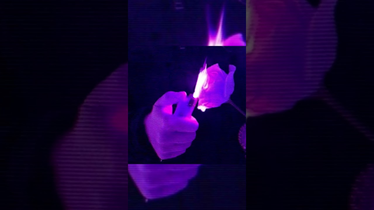 это ошибка... 