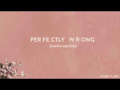 Perfectly Wrong - Shawn Mendes (letra en español)