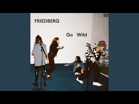 Friedberg - Go Wild