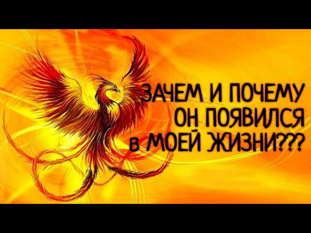 когда и с какой целью был когда и с какой целью был