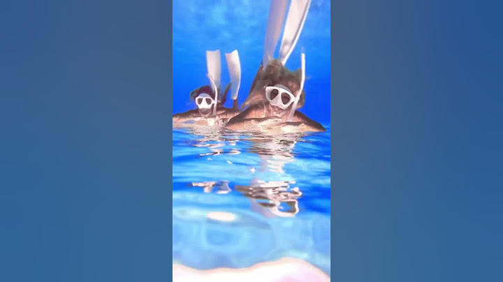 コレがホンモノのウォーターベッドです #ocean