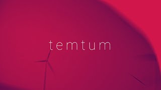 temtum :: Using Lego to Explain the Blockchain Technology, temtum