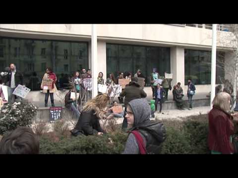 \"მწვანე აქცია\" მერიასთან