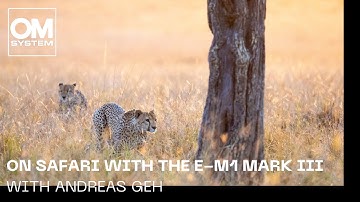 Olympus E-M1 Mark III on safari with Andreas Geh