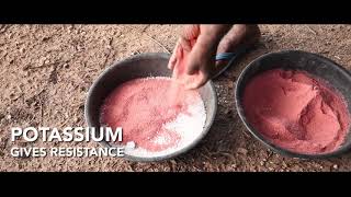 Integrated Nutrient Management