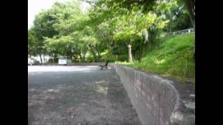 バイクトライアル おじさん公園で練習 50cmウィジャン