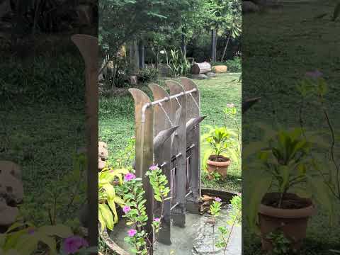 Water sound #watersounds #viral #shortsfeed #svaramsounds #pondicherry #soundgarden #trending