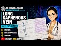 Long saphenous vein anatomy| simplified| hand written exam notes