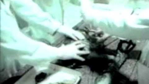 Alternate Parallel Reality - "DSM-IV"