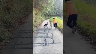 AMAZING 😍 3D ILLUSION ART 🎭 THAT WILL BLOW 🍃 YOUR MIND 🤯🔥.#nobatidao#status@ANIMATIONGSWORLD🥳