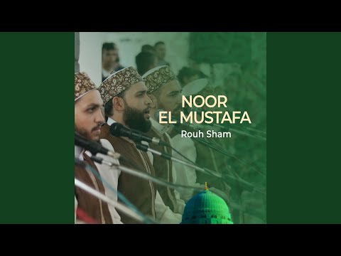 سید العرب