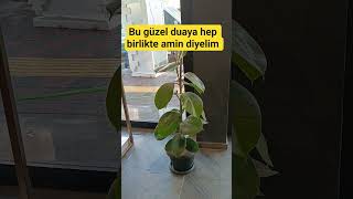 Bu Güzel Duaya Hep Birlikte Amin Diyelim Ilık