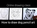 Pencil drawing dog | online drawing class