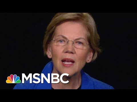 Elizabeth Warren On Trump Administration: Corruption. No Other Word For It. | Rachel Maddow | MSNBC