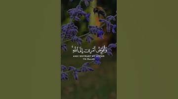 سورة غافر آية ٤٤  Sourate Ghaafir Verset 44 #islam
