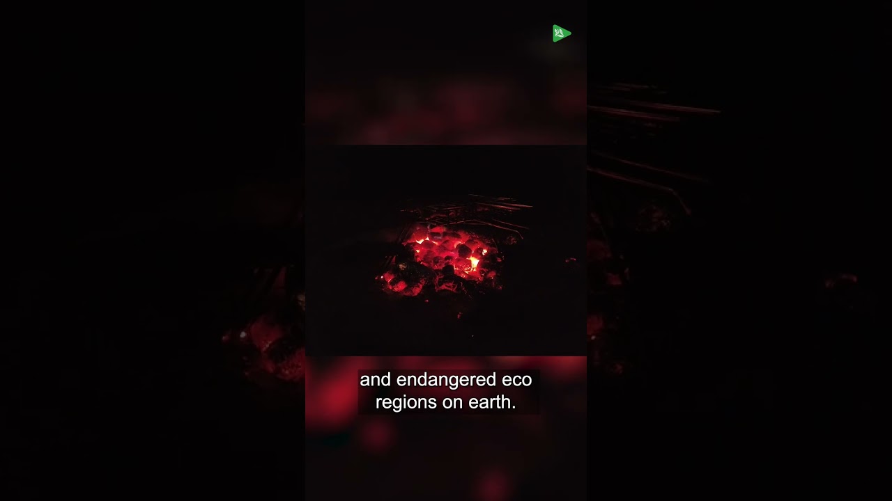 Camping at Maputo National Park’s 4x4 Wilderness Camp