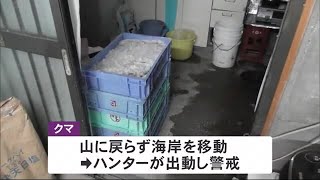 作業場にクマ侵入 