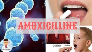 Quel type de maladie soigne l'amoxicilline ?