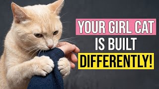 Why Female Cats are NOT Like Males: 9 Things You Must Know