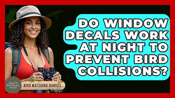 Do Window Decals Work At Night To Prevent Bird Collisions? - Bird Watching Diaries