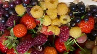 Grow These 7 perennial crops for Endless Harvest!!#garden #ihavethisthingwithplants