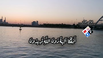 ثواني قرآن الشيخ ماهر المعيقلي سورة الصافات (فما ظنكم برب العالمين)حالات واتساب اسلاميه #ثواني_قرآن