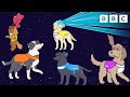 Dog squad pups in training song compilation  cbeebies
