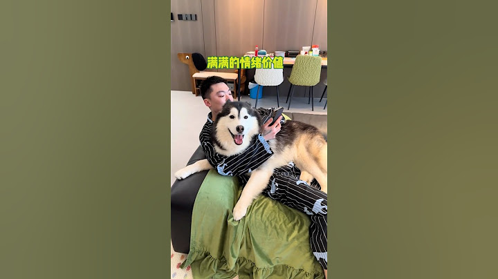 不拆：爹打掃房間，俺完美相陪 #爹寶狗 #哈士奇