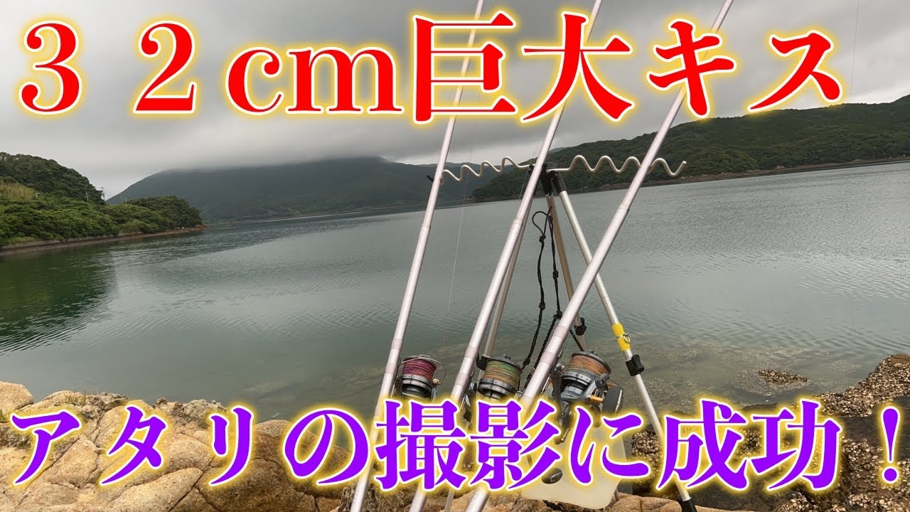 World's First] A 32cm Kisu Fishing Bite Recorded! All Japan Kisu