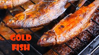 Gold Fish. How to catch and smoke fish | Золотая Рыбка. Как поймать и закоптить рыбу