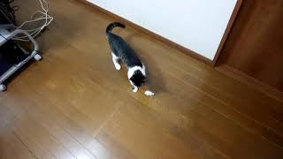 2019083101