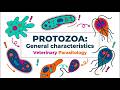 Protozoa | General Characteristics, Locomotion, Metabolism & Reproduction | BVSc 3rd Year |