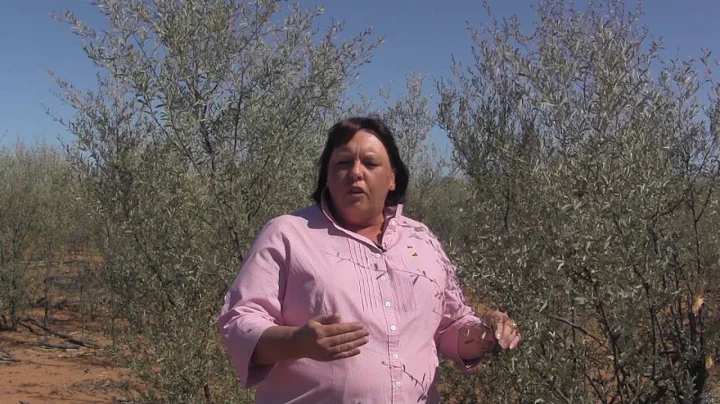 Fair Laws For Farmers - Vicki Franklin