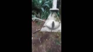 Esrarengiz Kasaba Gerçek Bill Cipher Heykeli Finding Bill Cipher Statue