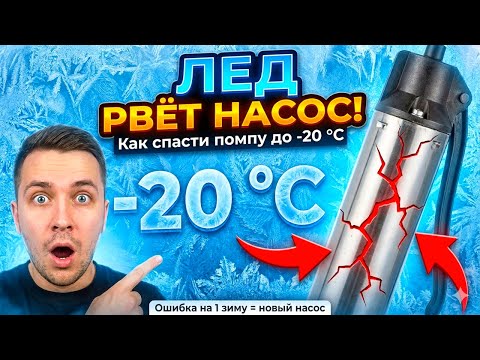 Как спасти абиссинскую помпу зимой