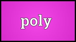 Poly Meaning