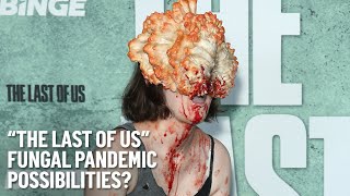 "The Last Of Us" Zombie Fungus Pandemic: Chicago's Top Doc Explains Possibility of Fungus Pandemic