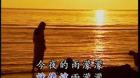 金曲欣赏《今夜雨濛濛》