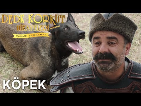 Salur Kazan: Zoraki Kahraman vs Köpek