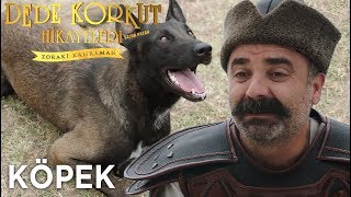 Salur Kazan: Zoraki Kahraman vs Köpek