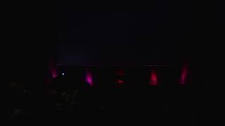 Afterglow (A Dog Memoir). An evening with Eileen Myles