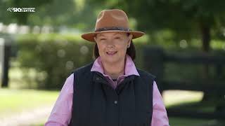 PART 1 - 2025 INGLIS EASTER YEARLING PREVIEW