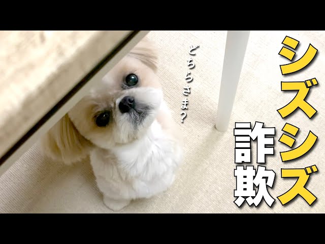 シーちゃん様 リクエスト 5点 まとめ商品 トンちゃん様 リクエスト 10点 まとめ商品 - メルカリ