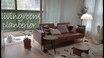 싱그러운 공간으로 홈스타일링하는 플랜테리어 ㅣ 거실 식물 인테리어 홈투어 l room tour
