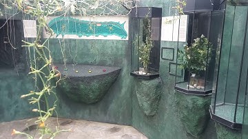 Rupsenverblijven Vlinderparadijs Papiliorama
